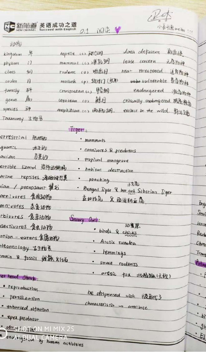 雅思筆記